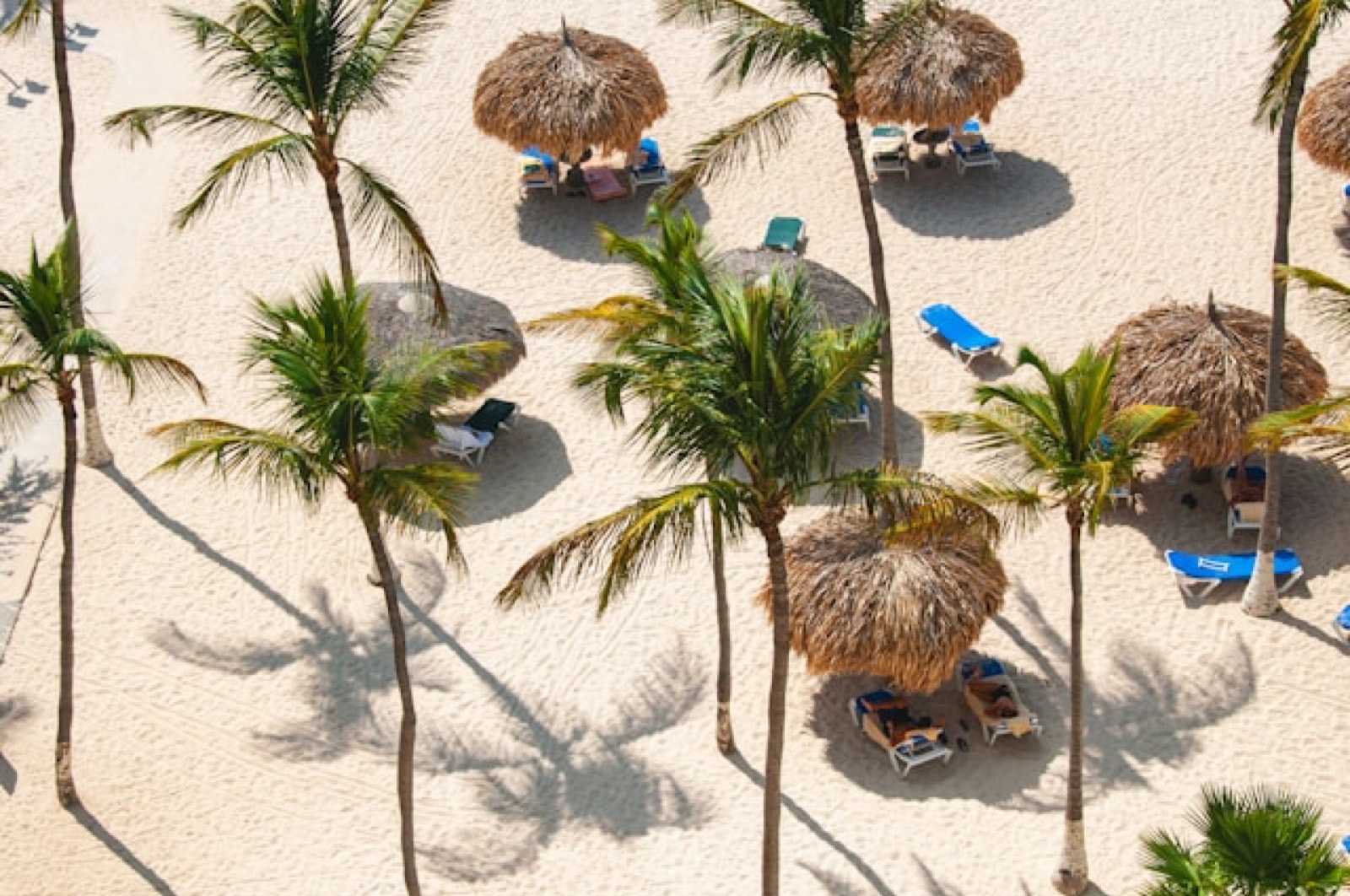 Vista aérea de una playa de Aruba con palmeras y tumbonas