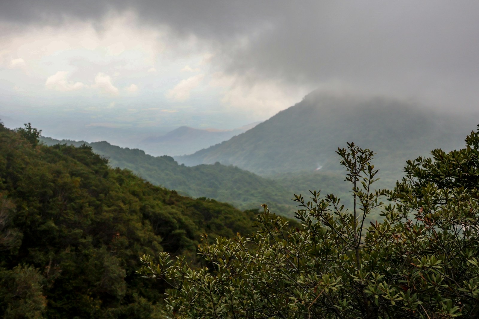 Volcán Santa Ana en El Salvador